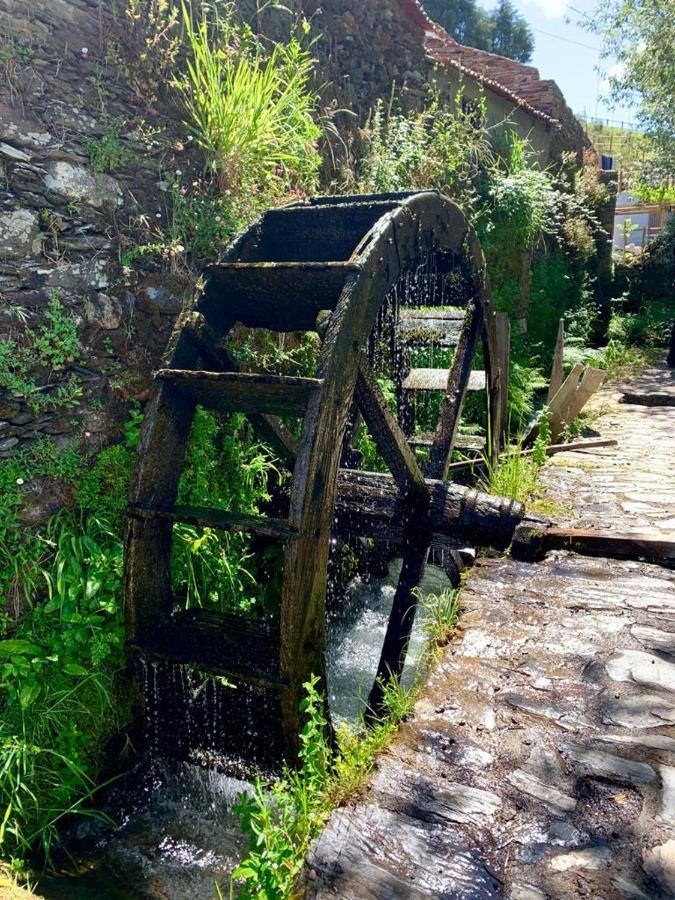 O Medronheiro Villa Penacova Eksteriør bilde